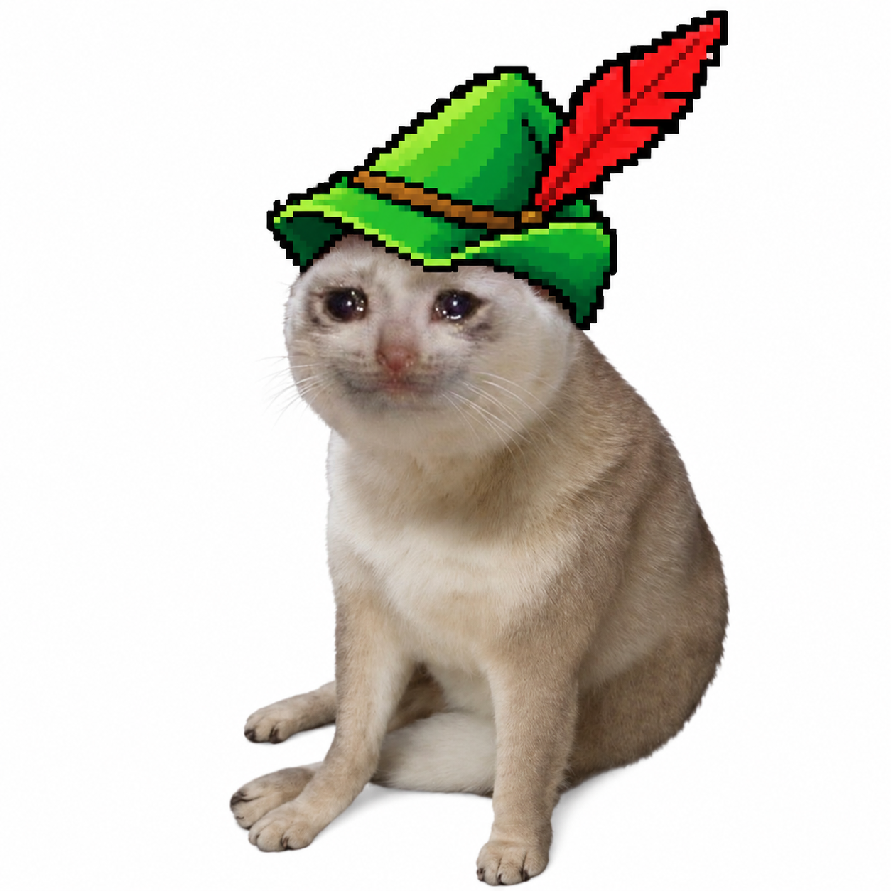 Crying cat meme wearing the green feathered hat